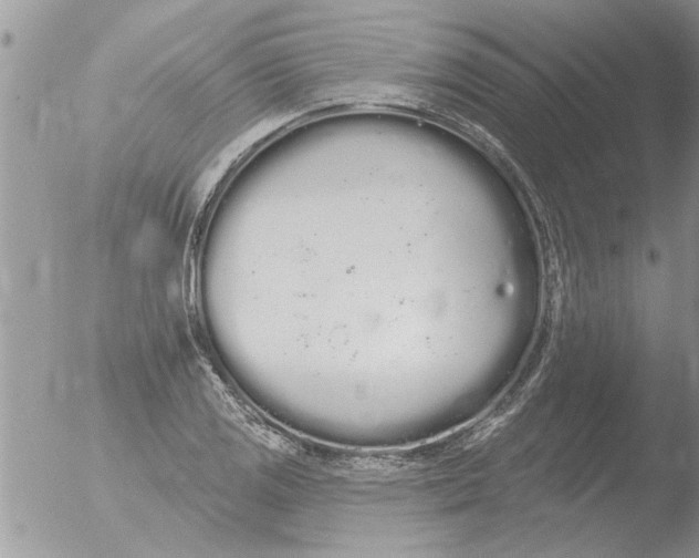 X0000051921125200507152050