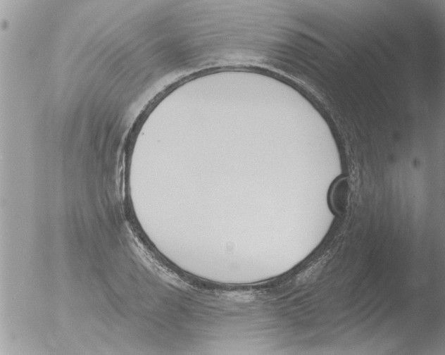 X0000051921126200507152050