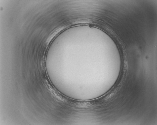 X0000051921129200507152050