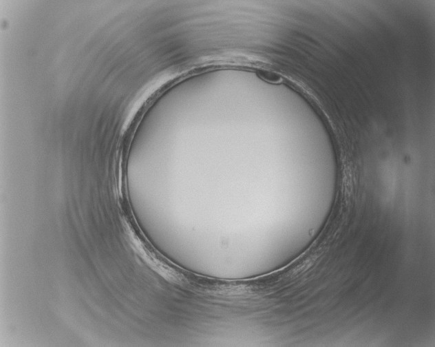 X0000051921131200507152050