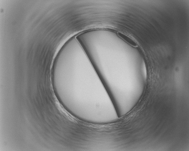 X0000051921132200507152050