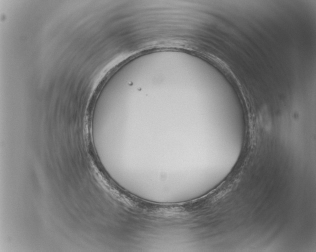 X0000051921133200507152050