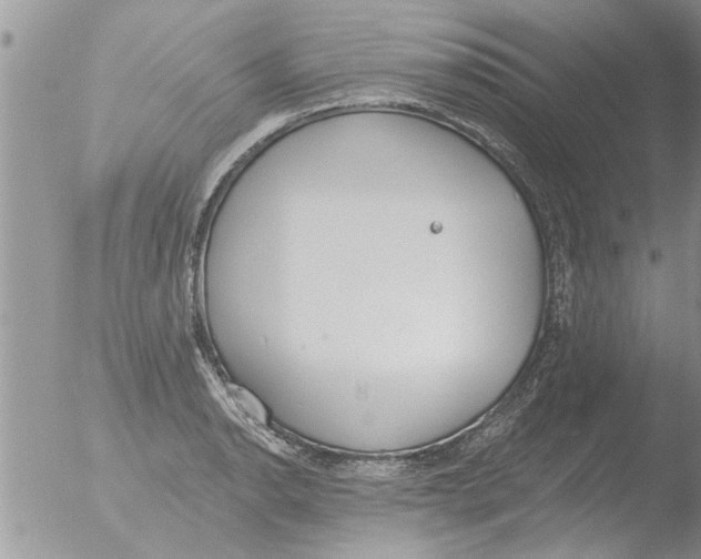 X0000051921134200507152050