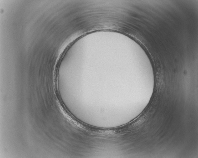 X0000051921135200507152050