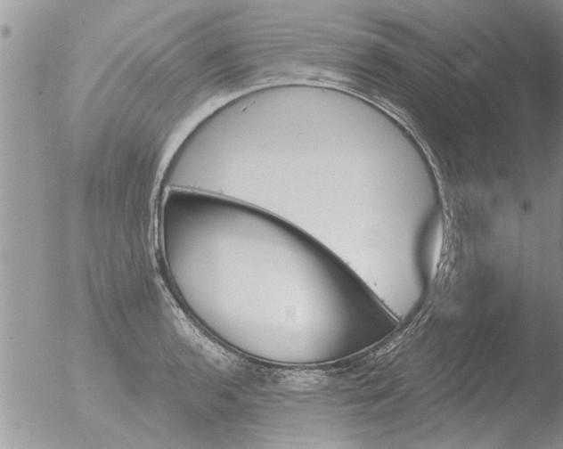 X0000051921136200507152050