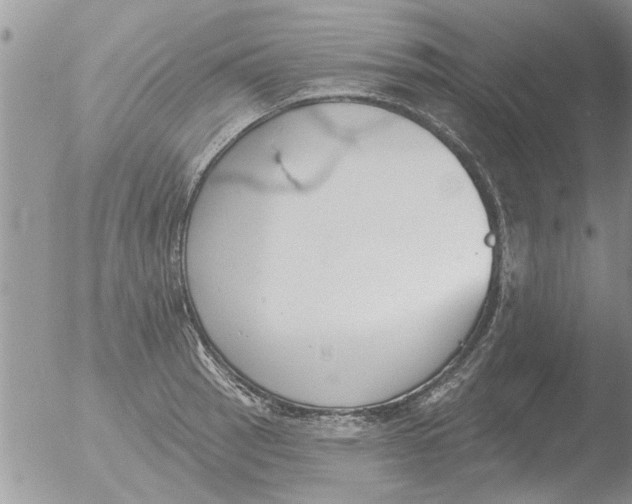 X0000051921137200507152050