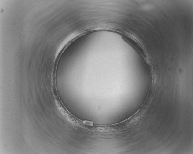 X0000051921138200507152050