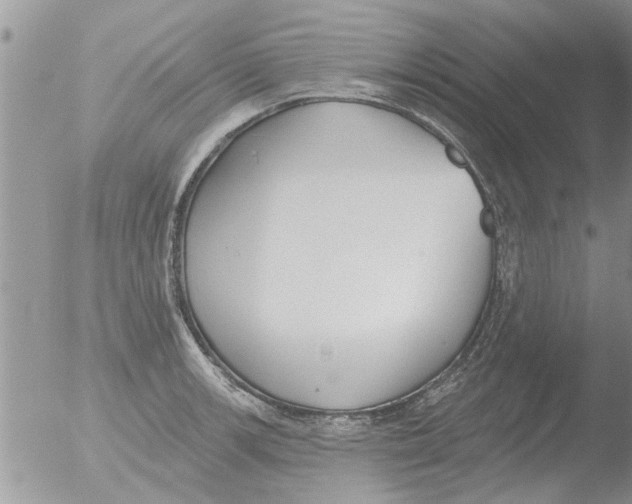 X0000051921139200507152050