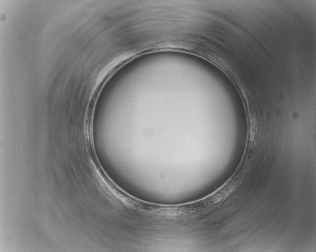 X0000051921141200507152050