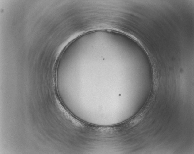 X0000051921142200507152050