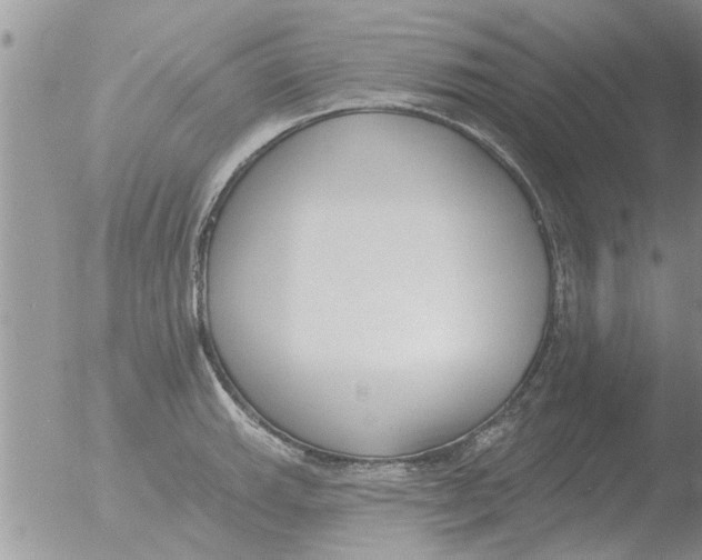 X0000051921143200507152050