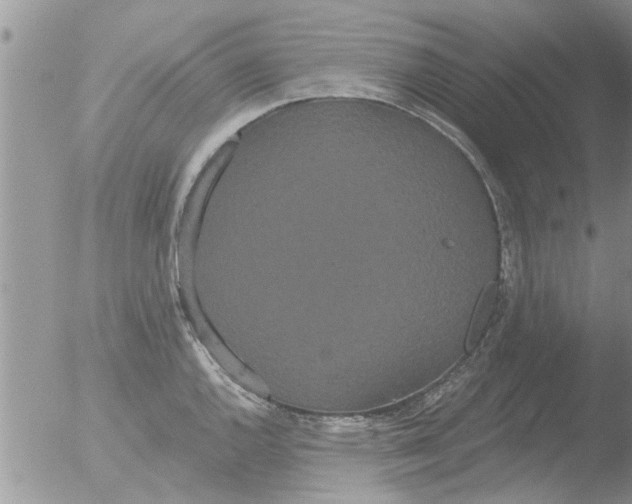 X0000051921144200507152050