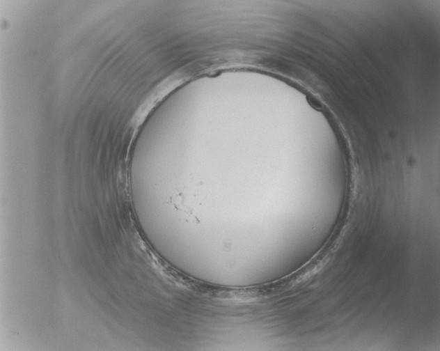 X0000051921145200507152050