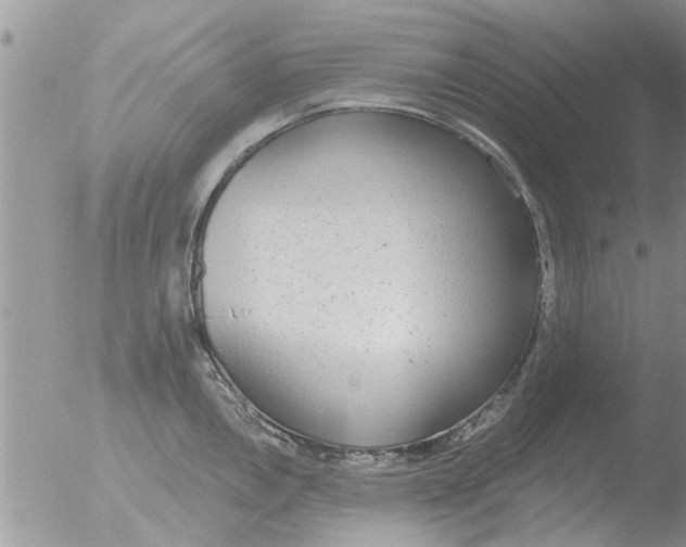 X0000051921146200507152050