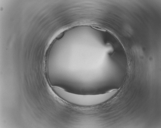 X0000051921147200507152050