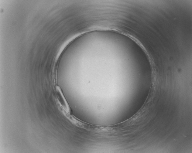 X0000051921148200507152050