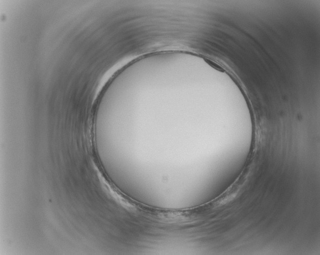 X0000051921149200507152050