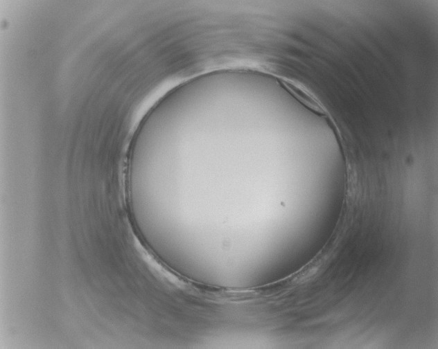 X0000051921151200507152050