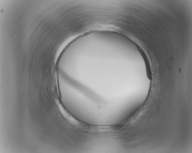 X0000051921152200507152050