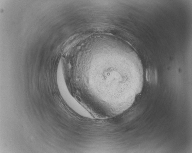 X0000051921155200507152049