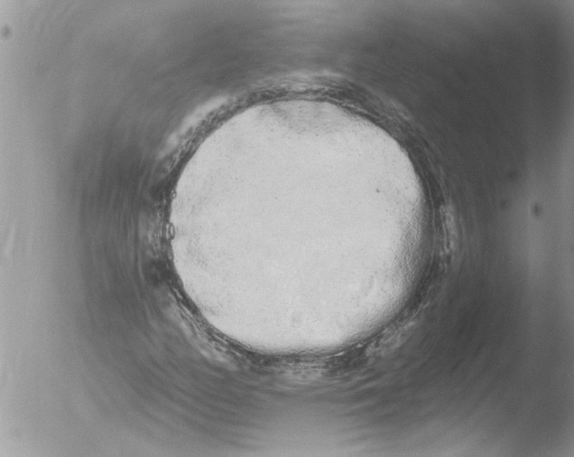 X0000051921158200507152049