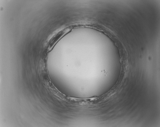 X0000051921160200507152049