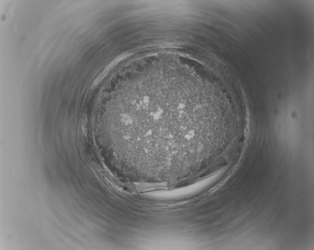 X0000051921161200507152049