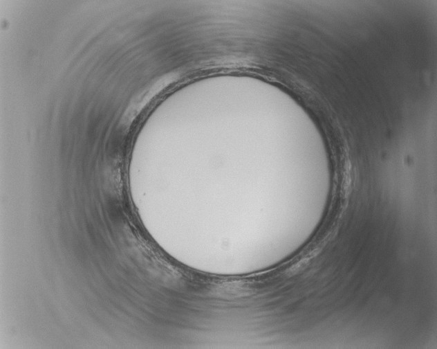 X0000051921162200507152049