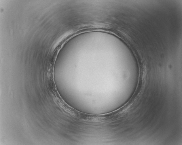 X0000051921163200507152049