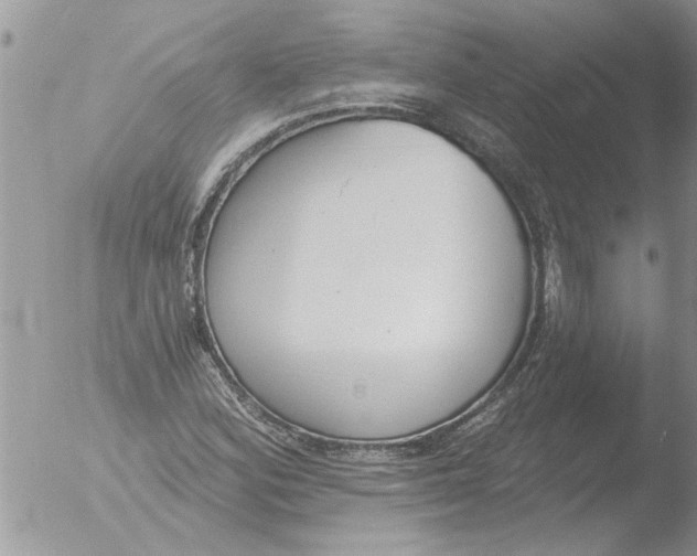 X0000051921164200507152049