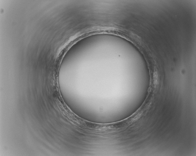 X0000051921165200507152049