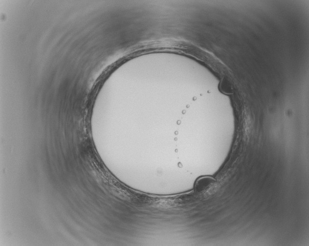 X0000051921166200507152049