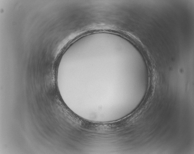 X0000051921167200507152049