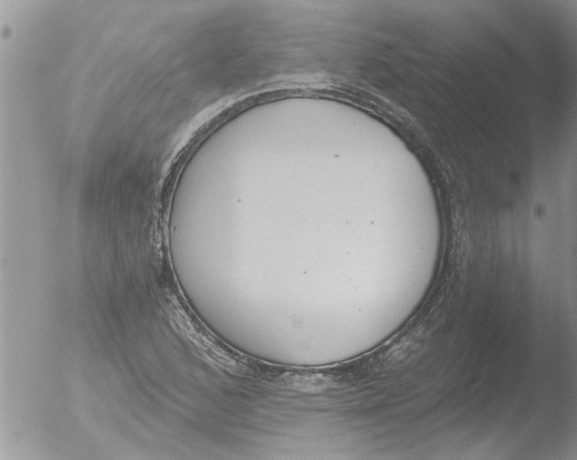 X0000051921168200507152049