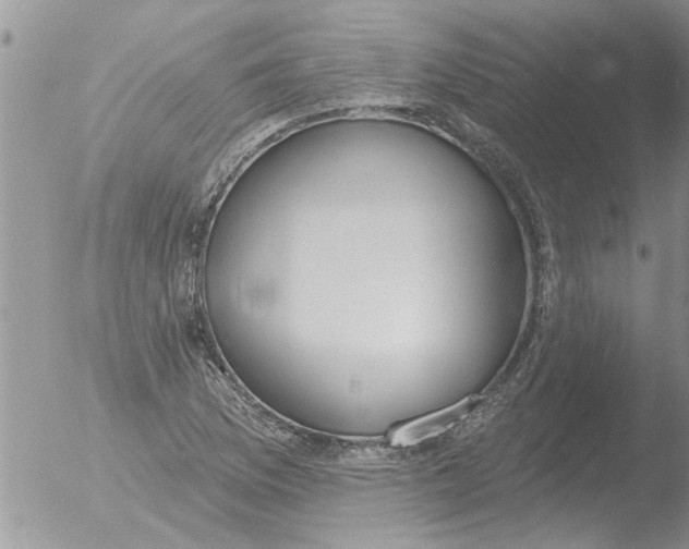 X0000051921169200507152049