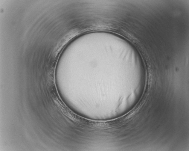 X0000051921170200507152049