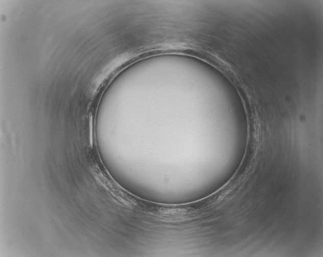 X0000051921171200507152049