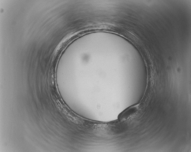 X0000051921172200507152049