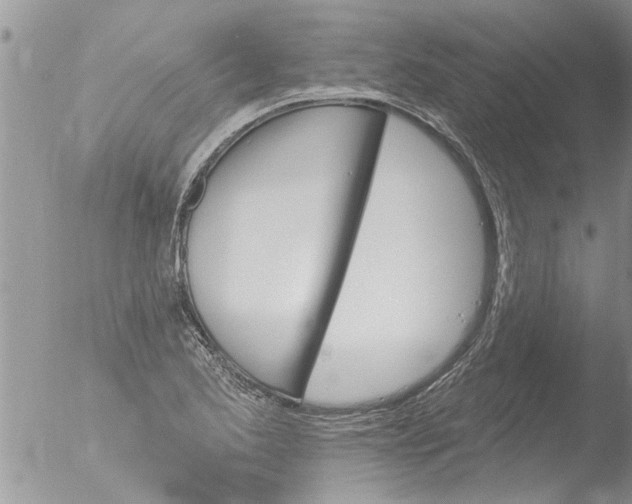 X0000051921173200507152049