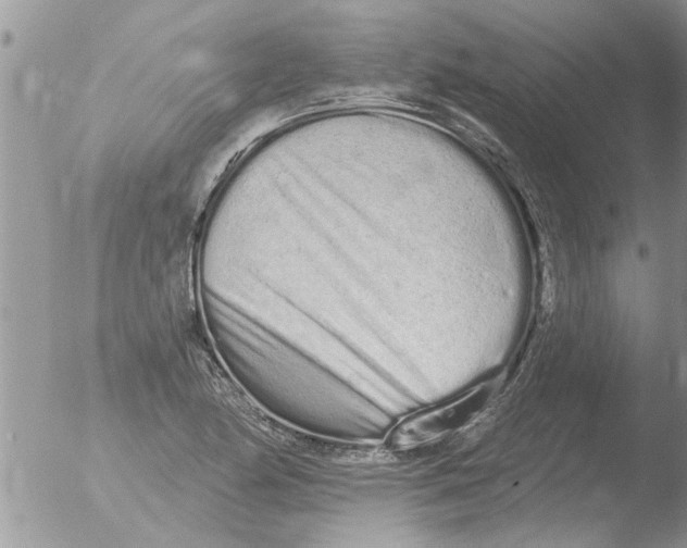 X0000051921174200507152049