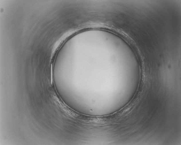 X0000051921175200507152049