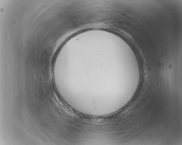 X0000051921176200507152049