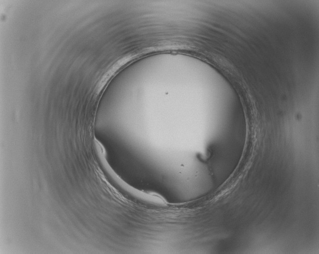 X0000051921177200507152049