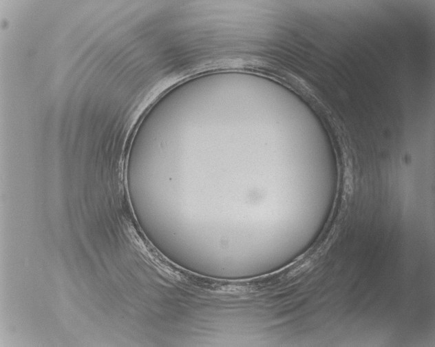 X0000051921178200507152049