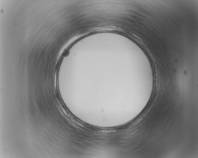 X0000051921179200507152049