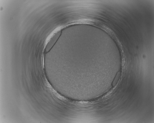 X0000051921180200507152049