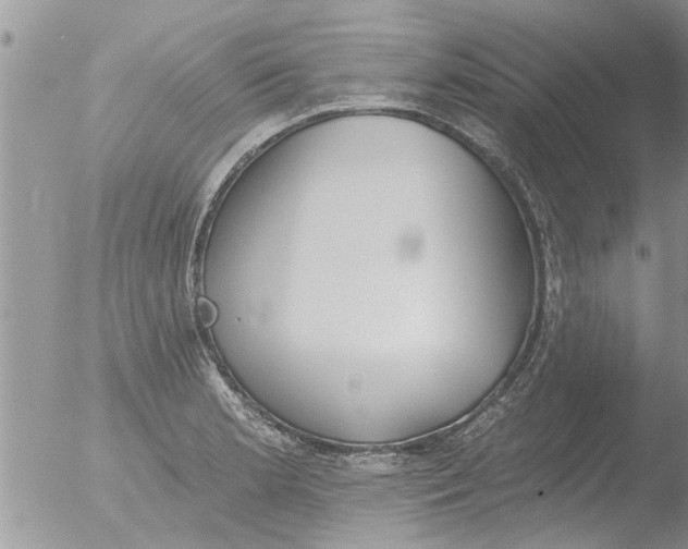 X0000051921181200507152049