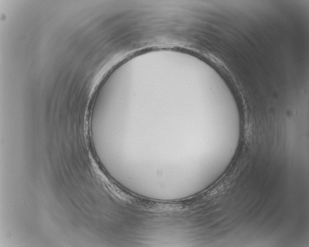 X0000051921183200507152049