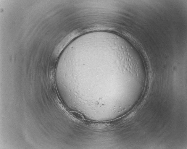 X0000051921185200507152049