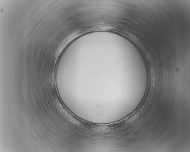 X0000051921186200507152049